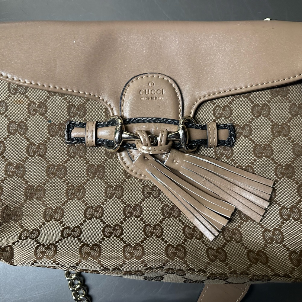 Gucci bag